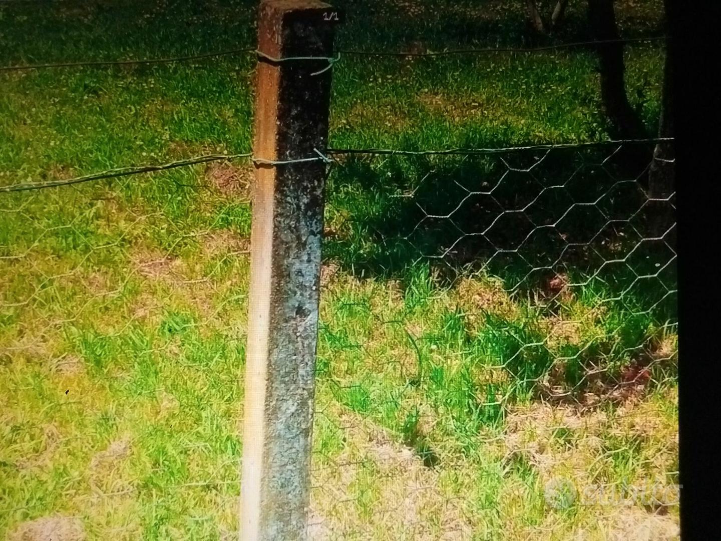 Tutori Da Giardino In Acciaio Rivestito – 30 Pali Da 90 Cm Per Pomodori, Piante Rampicanti E Fiori