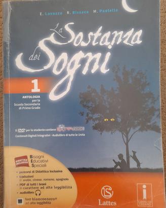 La sostanza dei sogni 1
