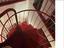 Immagine 13
