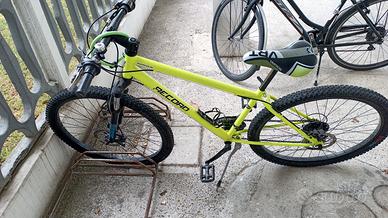 bicicletta 