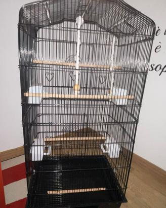 gabbia uccelli