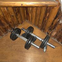 manubri regolabili palestra