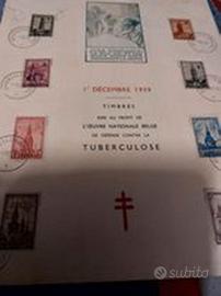 (us31)Belgio1934 serie 519/26 cartoncino primog