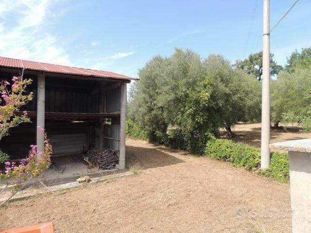 Rustico / Casale di 300 m² con più di 5 locali a T - Vista 5