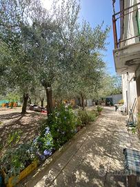 Casa indipendente a Sant'Eusanio del Sangro