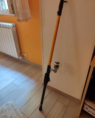 Canna da pesca con mulinello