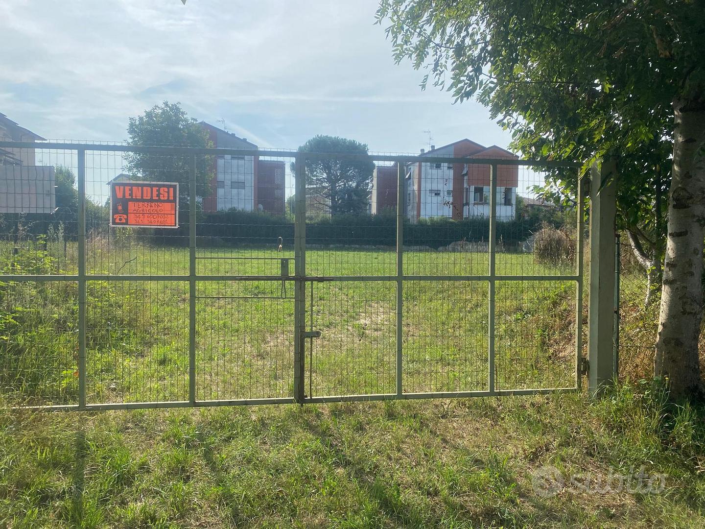 Terreno agricolo - Vista 5