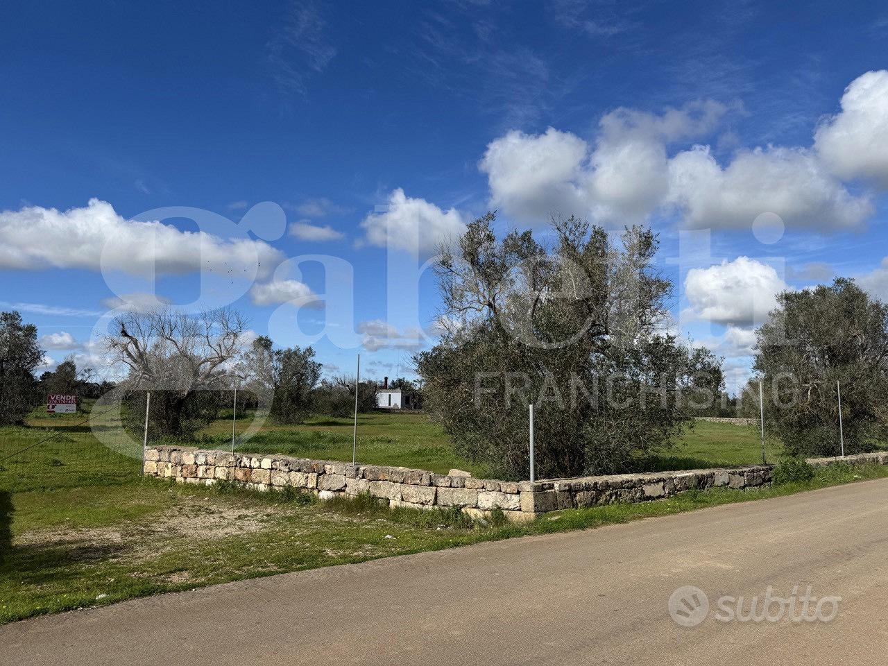 Terreno Agricolo Galatina [Cod. rif 3294156VCG] - Vista 4