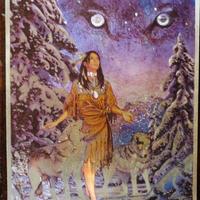 Poster Stampa laminata indiana e lupi