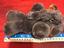Immagine 6