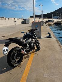 Honda hornet 600 2010