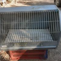 Gabbia per trasporto cani