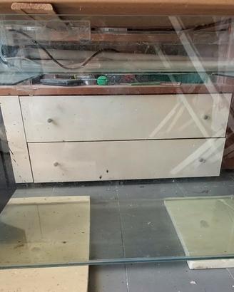 Acquario 250 litri completo con filtro e lumache 