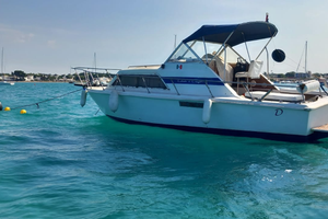 Barca semicabinato Chris Craft 25' Cruiser