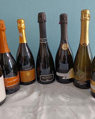 Spumante e Prosecco Brut  Extra Dry 7 bottiglie