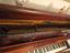 Immagine 5