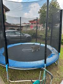 Trampolino elastico Ø305 cm con rete di sicurezza