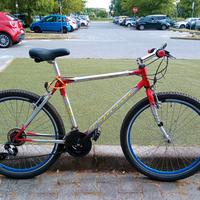 Bici MTB mountainbike Esperia 26 pollici
