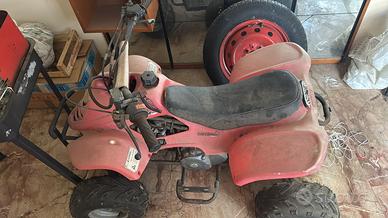 QUAD 100cc BAMBOO