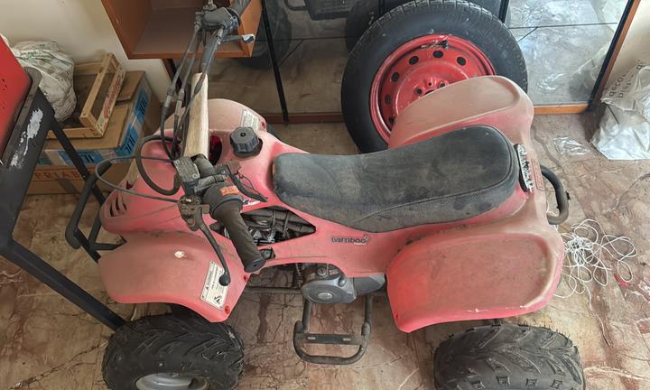 QUAD 100cc BAMBOO
