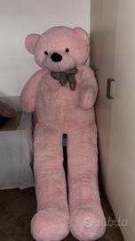 Peluche orso di 2metri