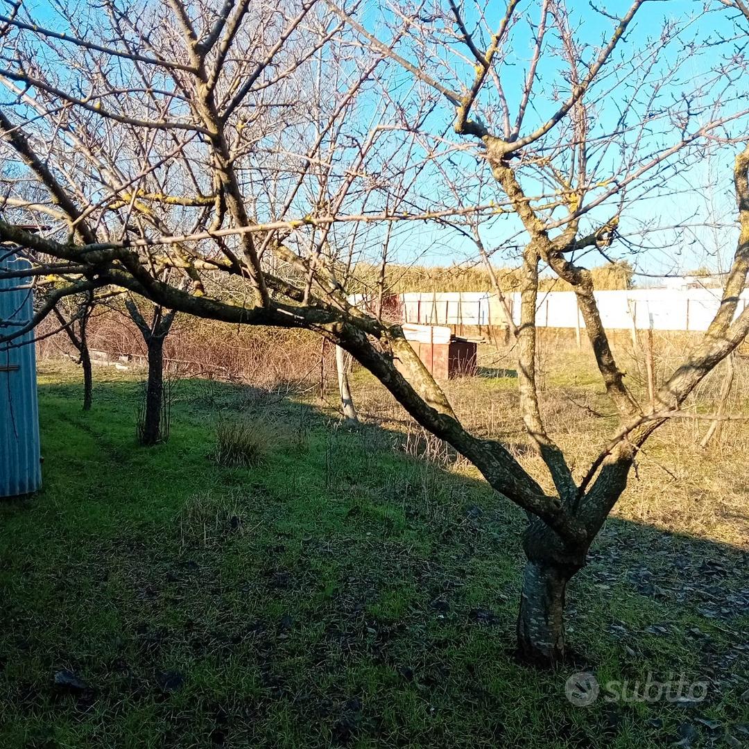 Terreno Agricolo - Vista 5