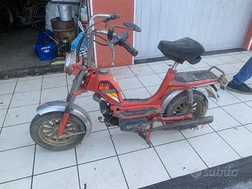 Motorino MINI CALIFFO TEL 338648444