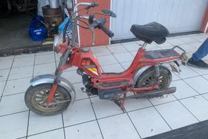 Motorino MINI CALIFFO TEL 338648444