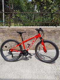 Mountain Bike Ragazzo FOCUS Raven Rookie 26