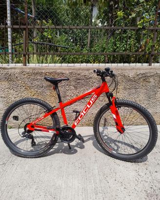Mountain Bike Ragazzo FOCUS Raven Rookie 26