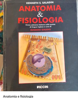 Anatomia e Fisiologia