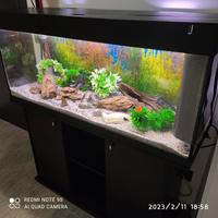 acquario ferplast 240l completo