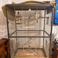 Voliera gabbia grande per pappagalli / calopsitte