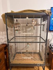 Voliera gabbia grande per pappagalli / calopsitte