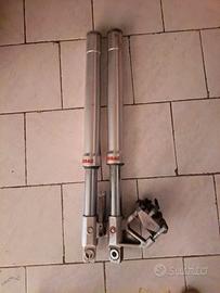 Forcella steli anteriore Aprilia Tuono/RS/DERBI 50
