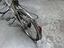 Immagine 2