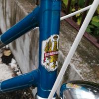 BIANCHI CLASSICA DONNA 