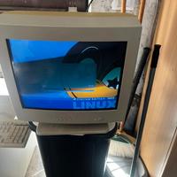 Monitor pc vintage 