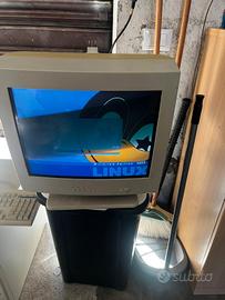 Monitor pc vintage 