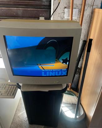 Monitor pc vintage 