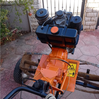 Motozappa pasbo 10cv