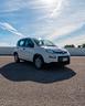 fiat-panda-1-0-firefly-s-s-hybrid
