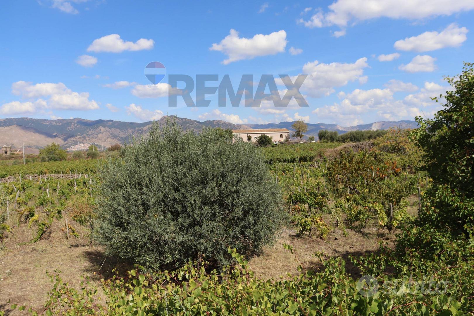 Terreno - Castiglione di Sicilia - Altro