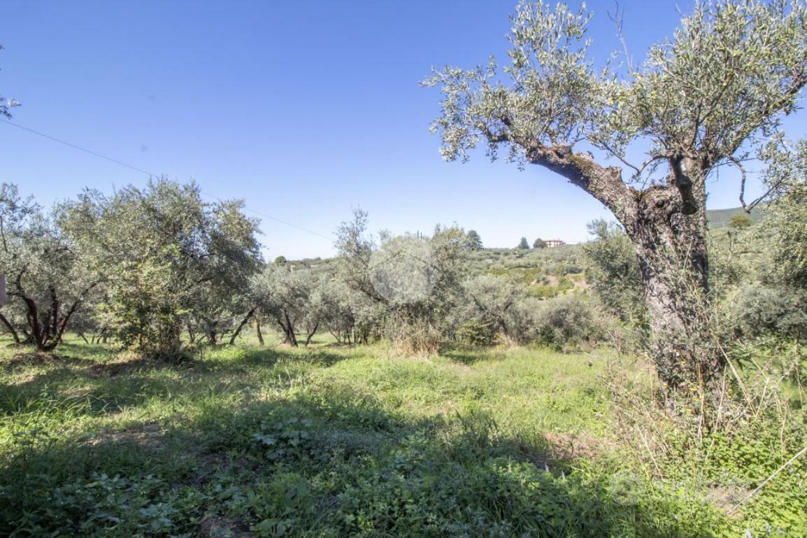 RUSTICO A PALOMBARA SABINA - View 2