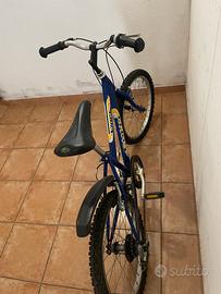Bicicletta