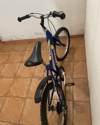 Bicicletta