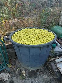 ‼️PALLINE GOLF USATE CALLAWAY