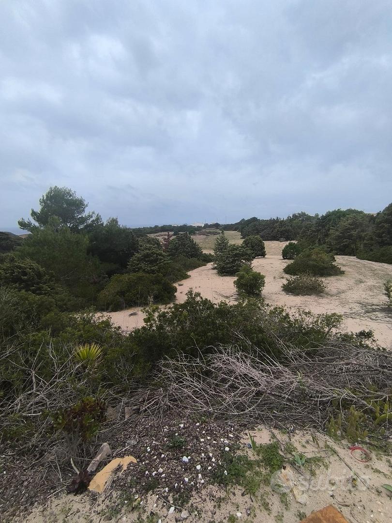 Terreno con rudere(non recuperabile)Loc.Spalmatore - Vista 3