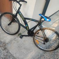 Bici mtb