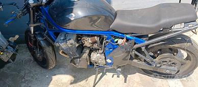 Suzuki GSF 600 Brandit Naked